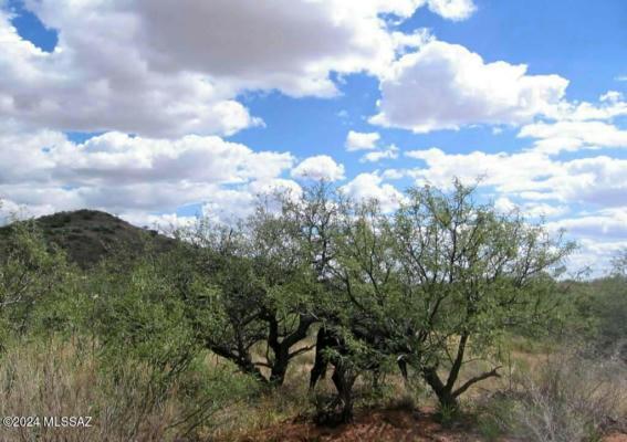 39 +/- ACRE ON RAMBLING ROAD, ELFRIDA, AZ 85610, photo 4 of 10