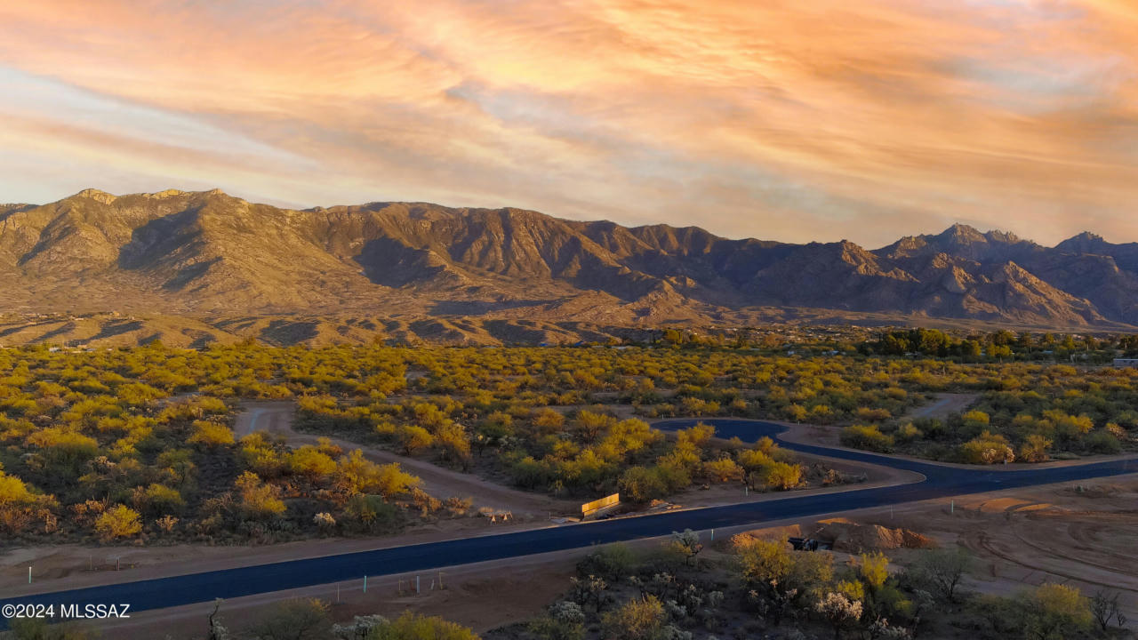 15887 N STRADA CATANIA LOT 157, TUCSON, AZ 85739, photo 1 of 3