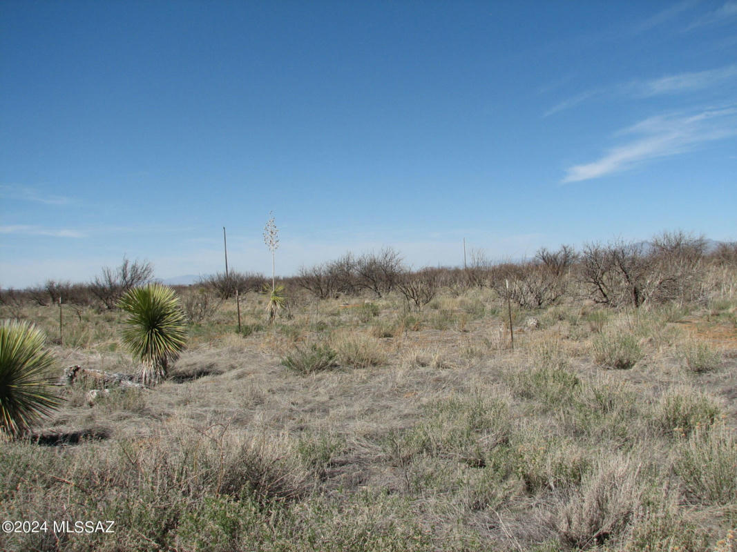 20 AC BUMBLE BEE LANE, PEARCE, AZ 85625, photo 1 of 6