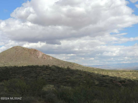 39 +/- ACRE ON RAMBLING ROAD, ELFRIDA, AZ 85610, photo 3 of 10