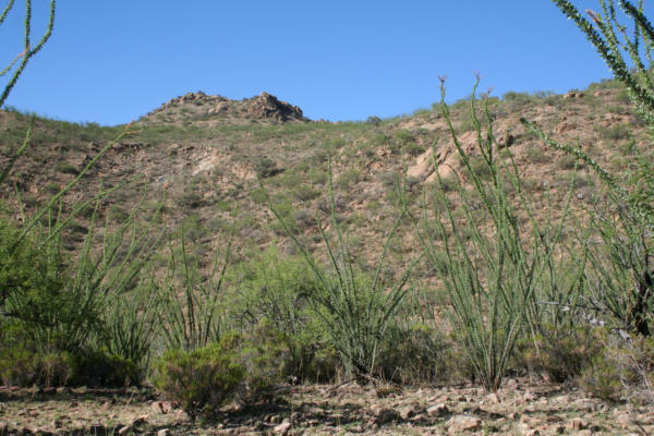 37 COPPER CANYON ROAD, TUBAC, AZ 85646 - Image 1