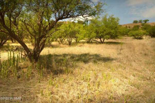 142 TANGLEHEAD LN, PATAGONIA, AZ 85624, photo 4 of 48