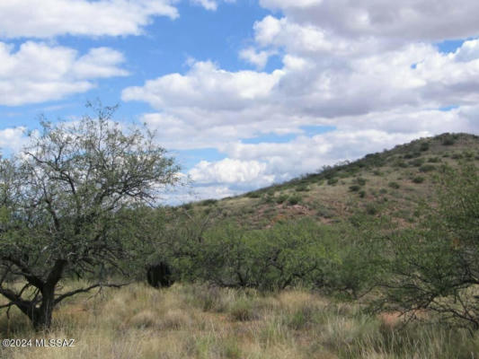 39 +/- ACRE ON RAMBLING ROAD, ELFRIDA, AZ 85610, photo 2 of 10