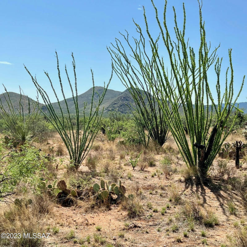 14352 W EVANSTON PL, TUCSON, AZ 85736, photo 1 of 16