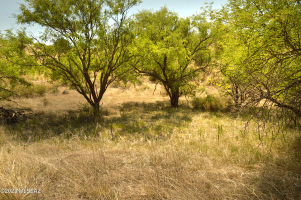 190 TANGLEHEAD LN, PATAGONIA, AZ 85624, photo 5 of 33