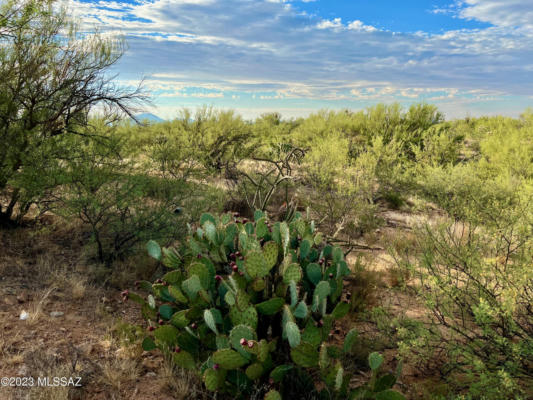 15966 W PHILLIPS RD, TUCSON, AZ 85736, photo 5 of 17