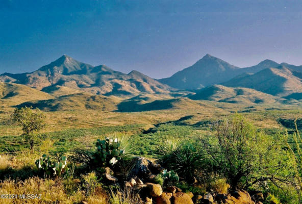 TBD TEJANO SPRINGS ROAD, TUBAC, AZ 85646 - Image 1