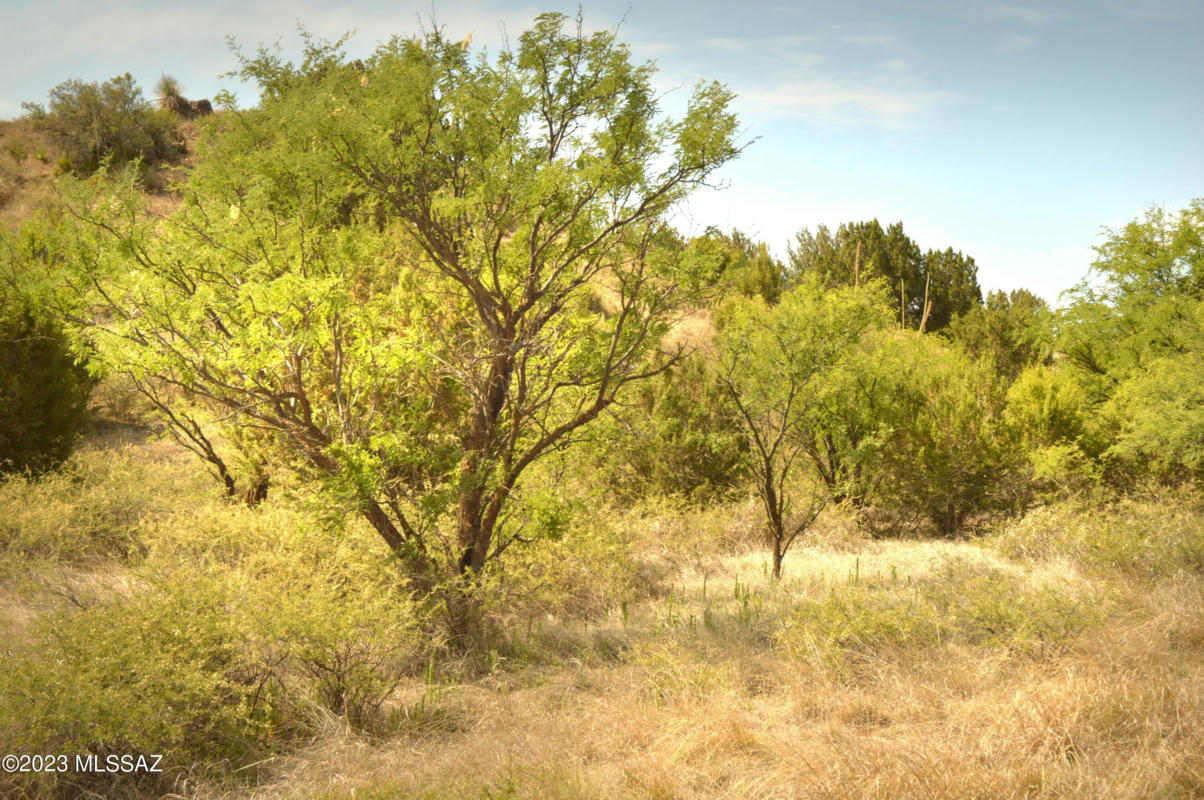 142 TANGLEHEAD LN, PATAGONIA, AZ 85624, photo 1 of 48