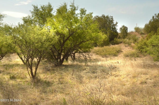 142 TANGLEHEAD LN, PATAGONIA, AZ 85624, photo 3 of 48