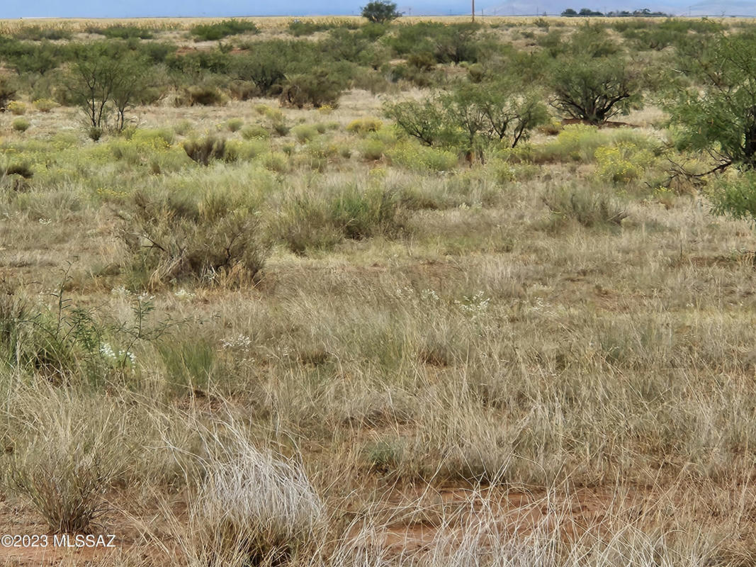 235 ACRES HIGHWAY 181, ELFRIDA, AZ 85610, photo 1 of 26