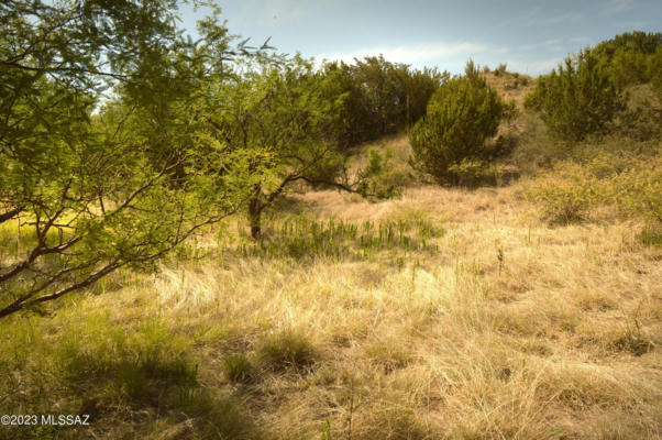 202 TANGLEHEAD LN, PATAGONIA, AZ 85624, photo 5 of 33