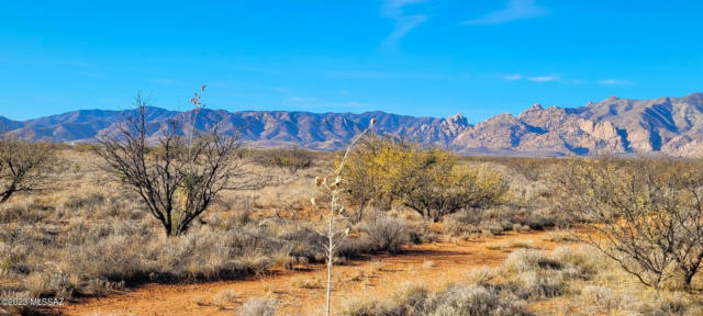 1.17 ACRE LOT ON RICHEY RD, COCHISE, AZ 85606, photo 2 of 12