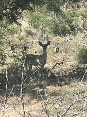 S SIERRITA MT ROAD, TUCSON, AZ 85736, photo 3 of 14