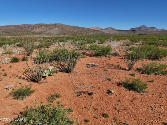 TBD SILVER CREEK RANCH RD, DOUGLAS, AZ 85607 - Image 1