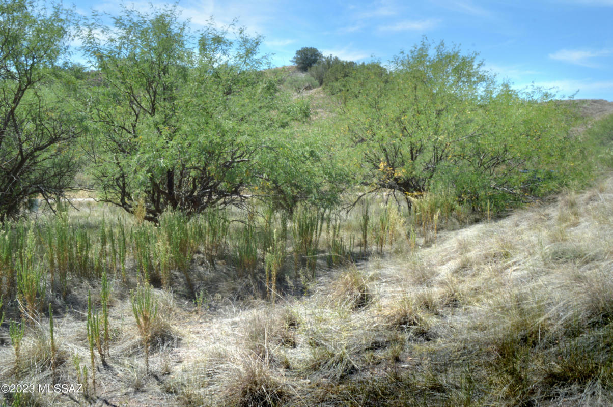 190 TANGLEHEAD LN, PATAGONIA, AZ 85624, photo 1 of 33