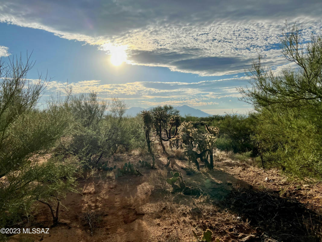 15966 W PHILLIPS RD, TUCSON, AZ 85736, photo 1 of 17