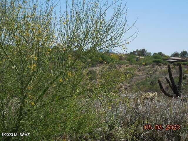 745 W PLACITA EL CUETO, GREEN VALLEY, AZ 85622, photo 1 of 4