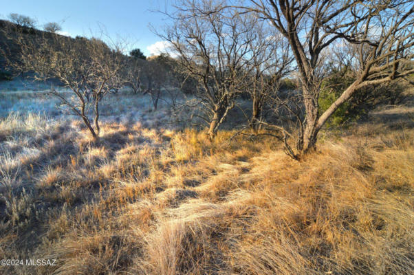 LOT D2 STEVENS CANYON ROAD, PATAGONIA, AZ 85624 - Image 1