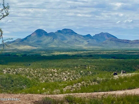 TBD LONELY DOVE PL 8.23 ACRES, HUACHUCA CITY, AZ 85616 - Image 1