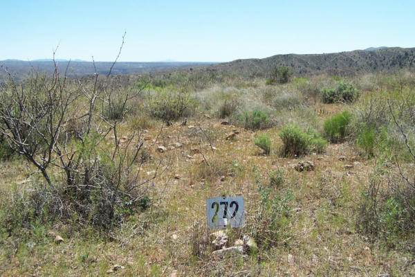 LOT 272 END OF THE TRAIL ROAD, WILLCOX, AZ 85643 - Image 1
