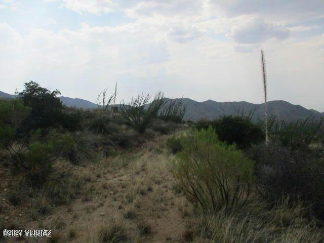 18655 S SIERRITA MOUNTAIN RD, TUCSON, AZ 85736, photo 1 of 16