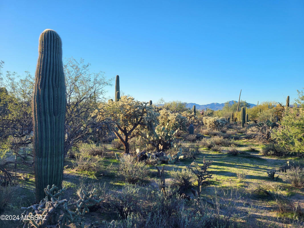 5024 W CAMINO DE MANANA, Tucson, AZ 85742 Land For Sale, MLS# 22403062