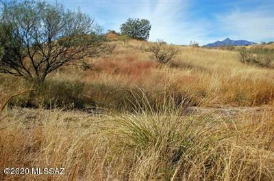 LOT 11 TANGLEHEAD LANE, PATAGONIA, AZ 85624, photo 5 of 30