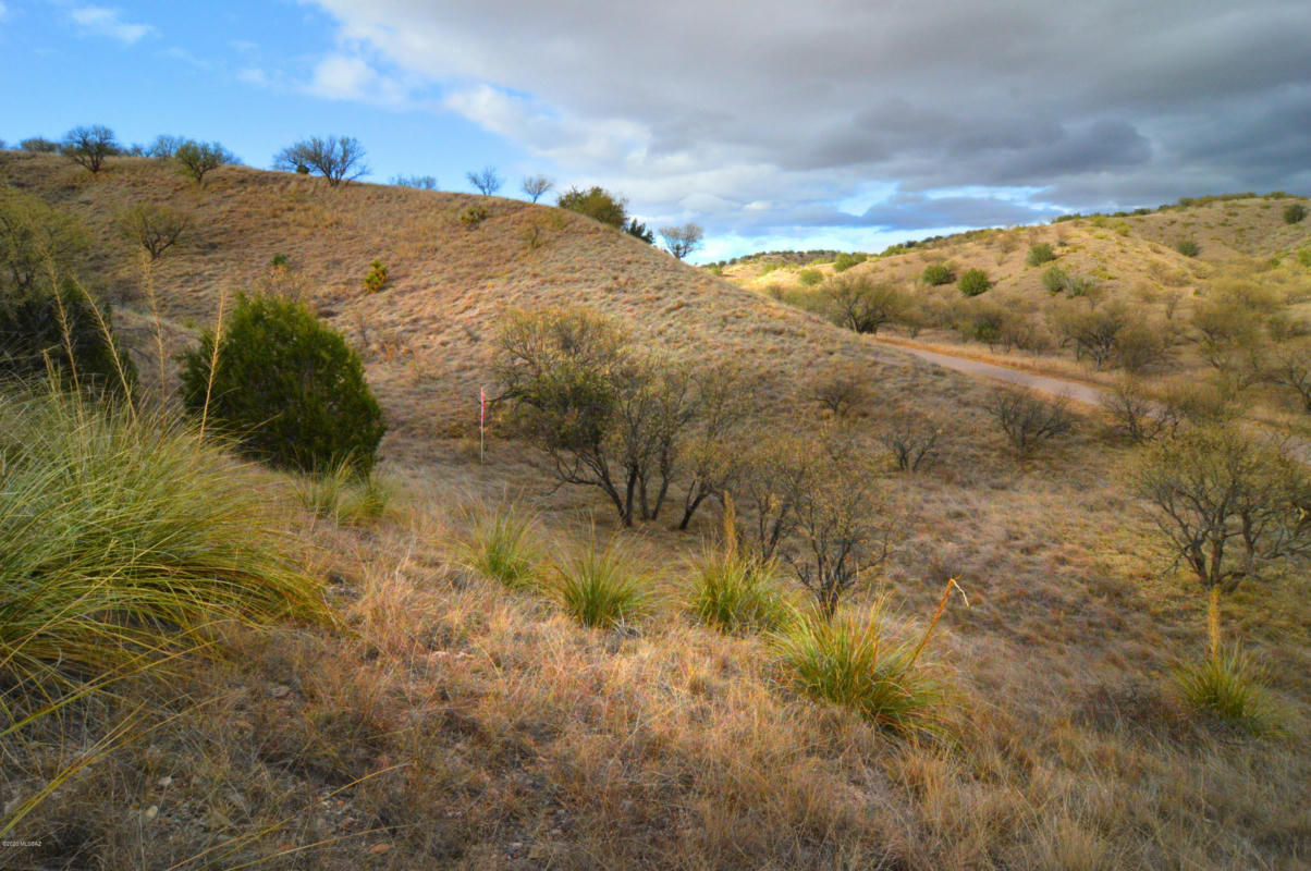 LOT 5 TANGLEHEAD LANE, PATAGONIA, AZ 85624, photo 1 of 29