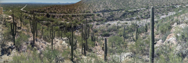 11665 E BALBOA PL, TUCSON, AZ 85749, photo 2 of 9