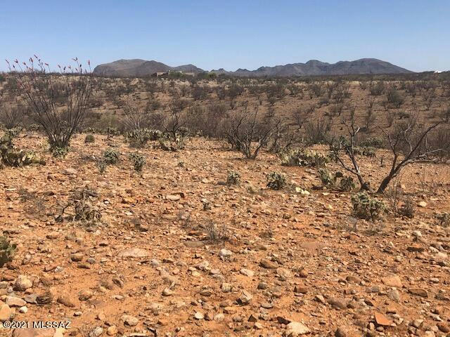 339 CAMINO KENNEDY, TUBAC, AZ 85646, photo 1 of 11