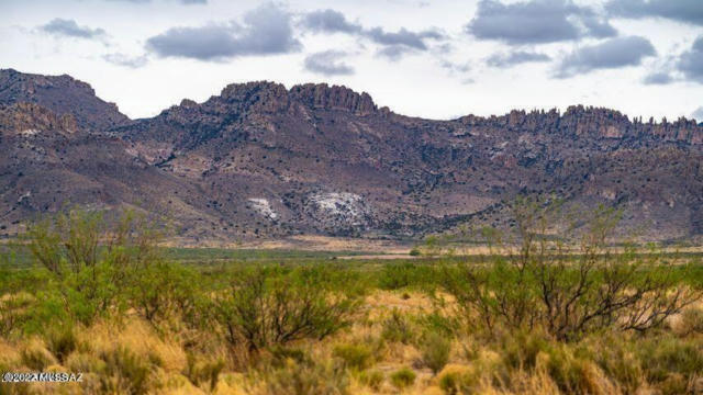 THREE TRIANGLE RANCHES #37 41 ACRES, PORTAL, AZ 85632, photo 4 of 16