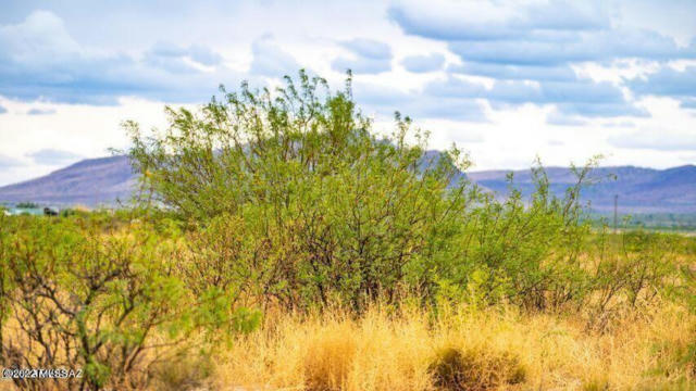 THREE TRIANGLE RANCHES #37 41 ACRES, PORTAL, AZ 85632, photo 5 of 16