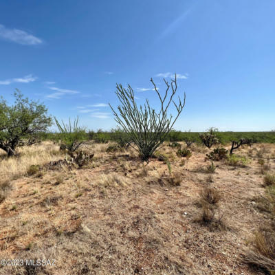 14352 W EVANSTON PL, TUCSON, AZ 85736, photo 3 of 16