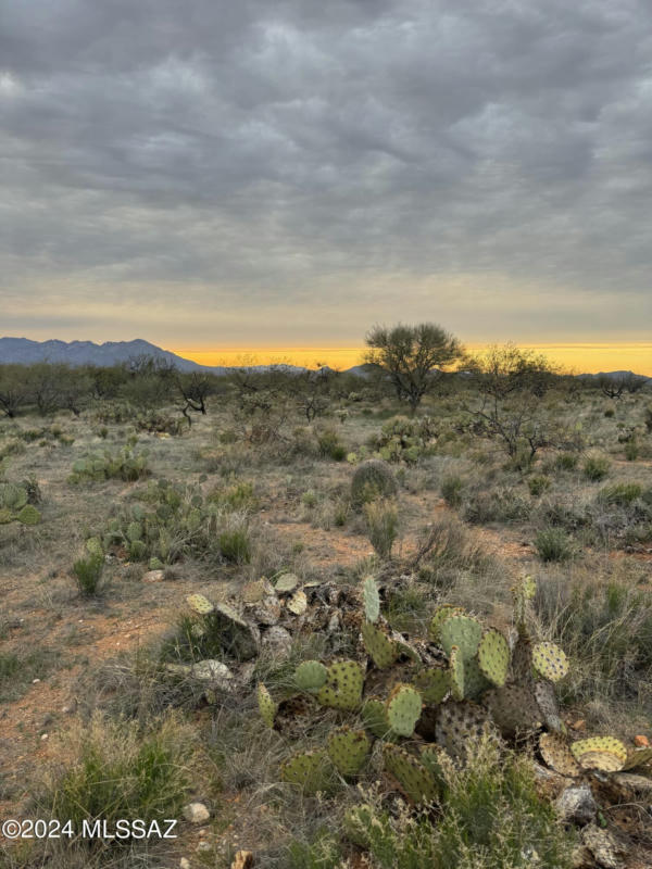 14364 W EVANSTON PL, TUCSON, AZ 85736, photo 1 of 9