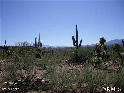 E MAYER AVENUE, SAN MANUEL, AZ 85631 - Image 1