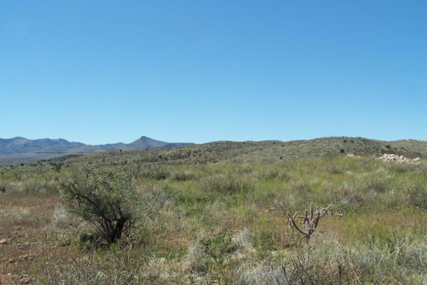 LOT 272 END OF THE TRAIL ROAD, WILLCOX, AZ 85643, photo 5 of 16