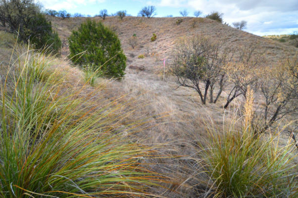 LOT 5 TANGLEHEAD LANE, PATAGONIA, AZ 85624, photo 2 of 29