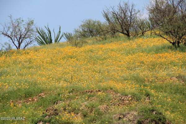 ASH CANYON RD, TUMACACORI, AZ 85640, photo 3 of 16