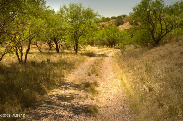 202 TANGLEHEAD LN, PATAGONIA, AZ 85624, photo 3 of 33