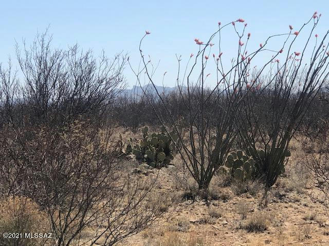 TBD CAMINO OBREGON, TUBAC, AZ 85646, photo 1 of 8