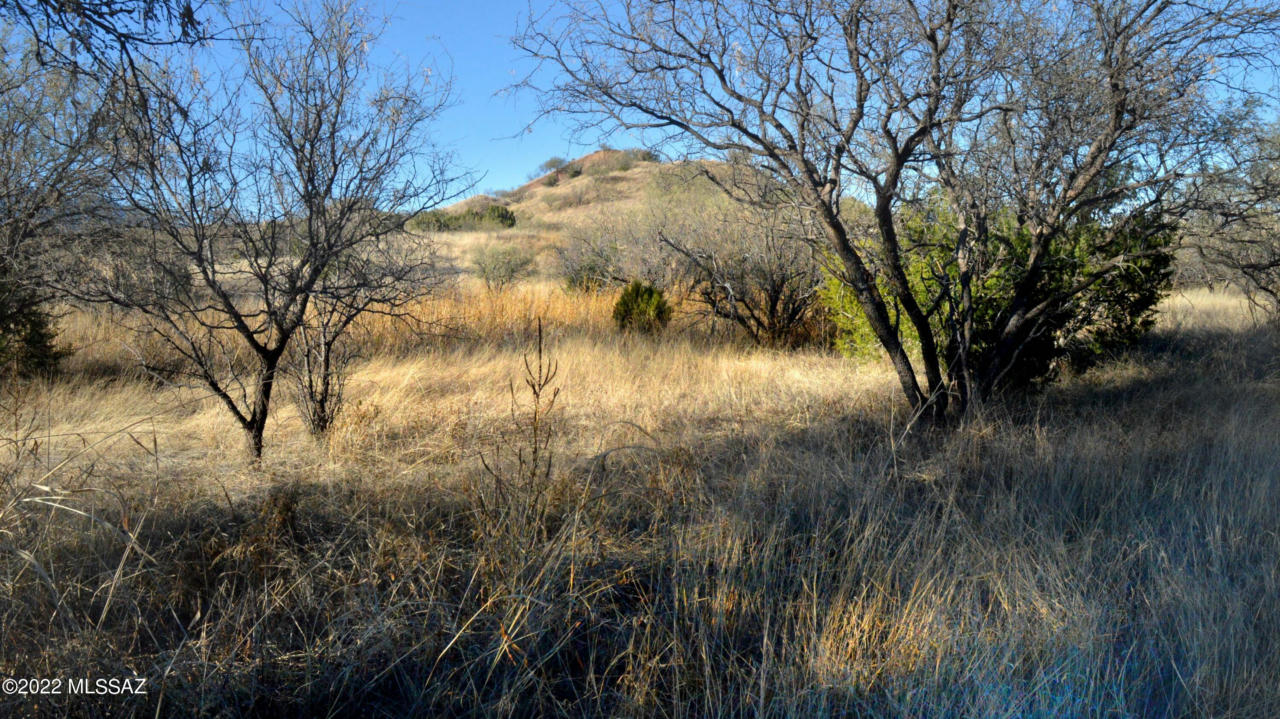 LOT 11 TANGLEHEAD LANE, PATAGONIA, AZ 85624, photo 1 of 30