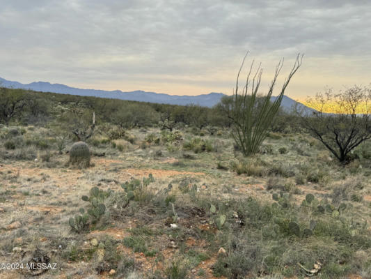 14364 W EVANSTON PL, TUCSON, AZ 85736, photo 4 of 9