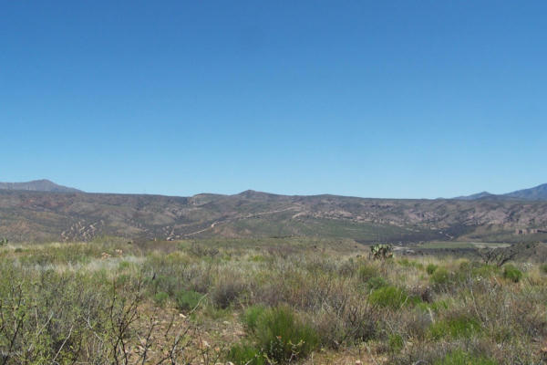 LOT 272 END OF THE TRAIL ROAD, WILLCOX, AZ 85643, photo 4 of 16