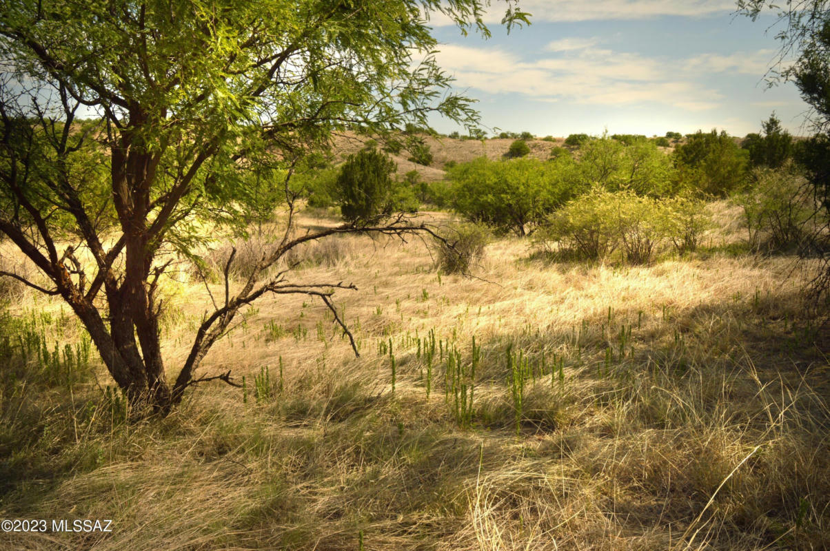 202 TANGLEHEAD LN, PATAGONIA, AZ 85624, photo 1 of 33